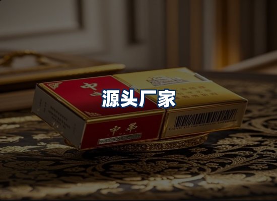 专业团队办公环境